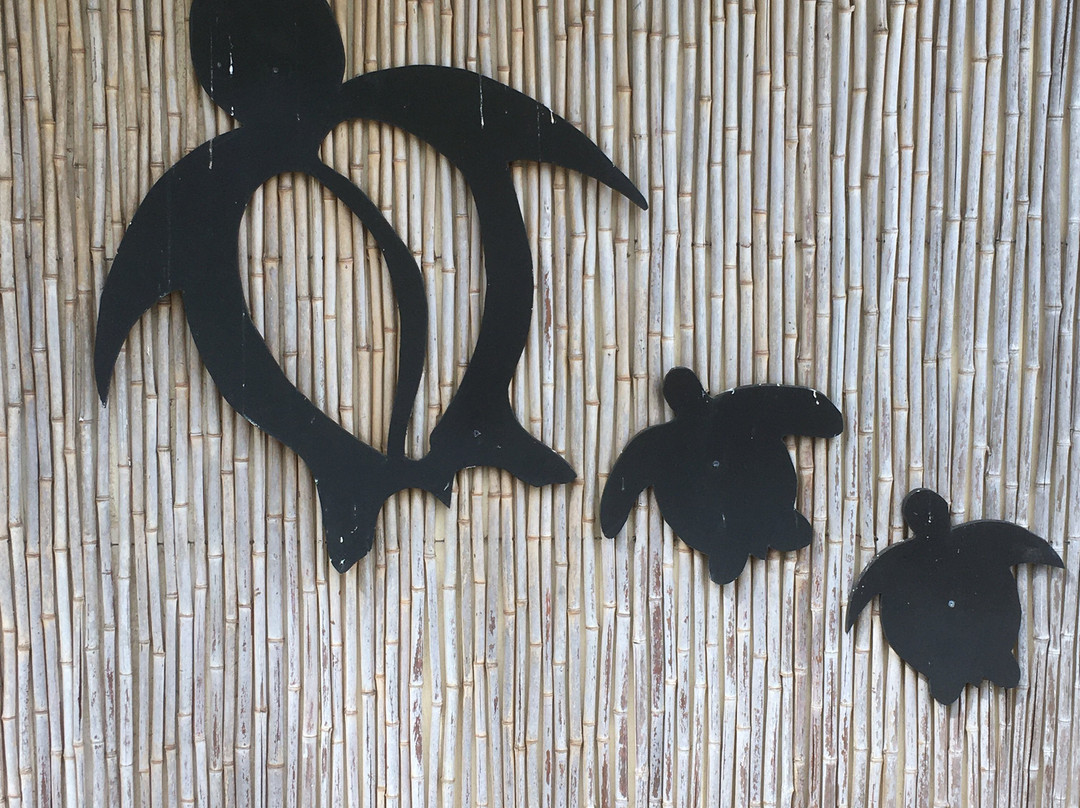 Ackerman Galleries-卡帕奥必去景点