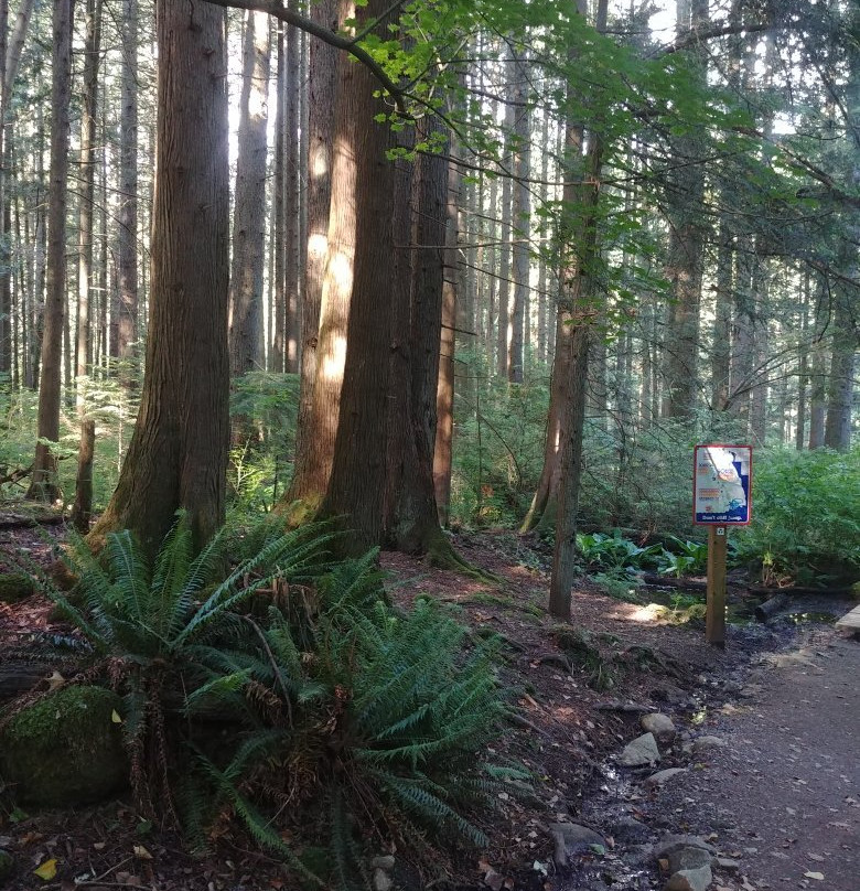 Lynn Headwaters Regional Park-北温哥华必去景点