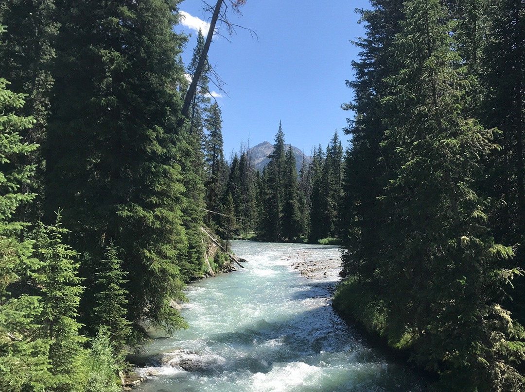 Squaretop Mountain景点图片