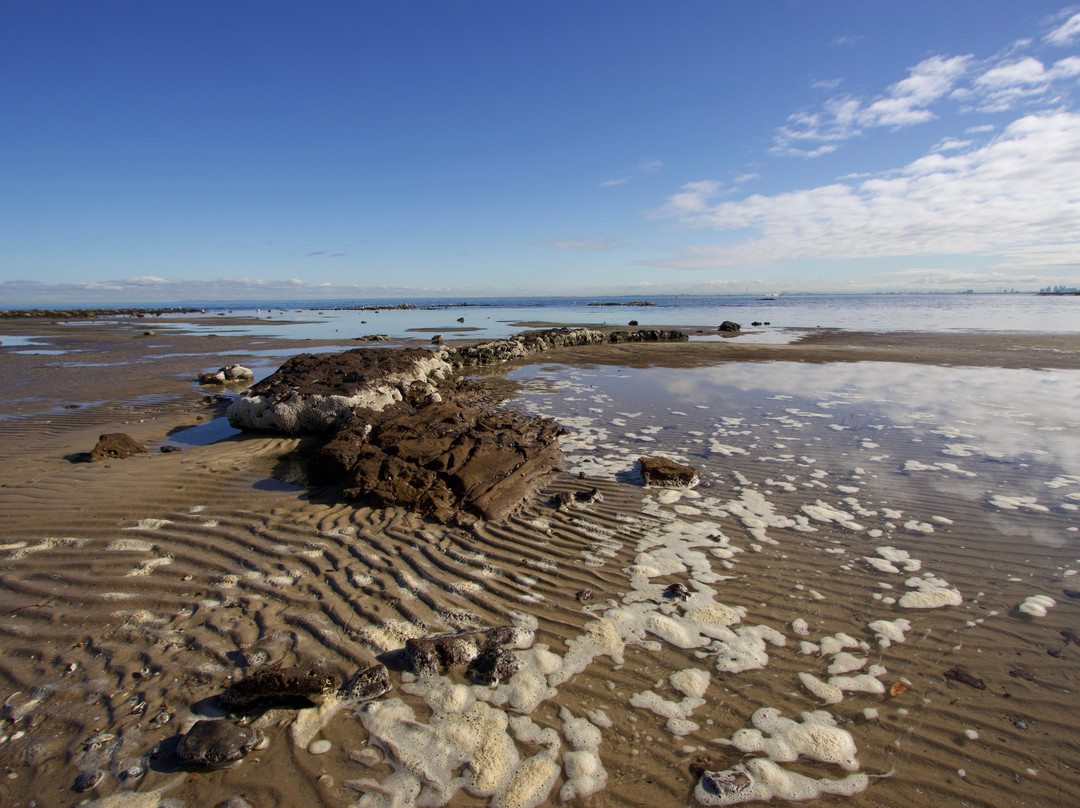 Dendy Street Beach-布莱顿必去景点