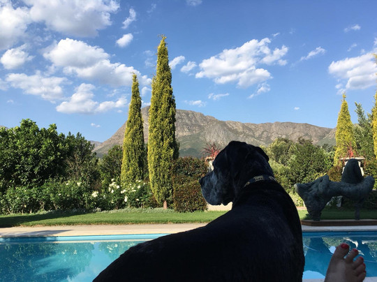 Inle Lake View Resort & Spa主图