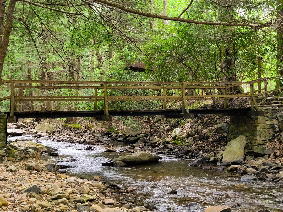 Linn Run State Park景点图片