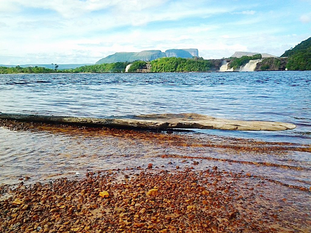 Canaima Expeditions & Tours景点图片