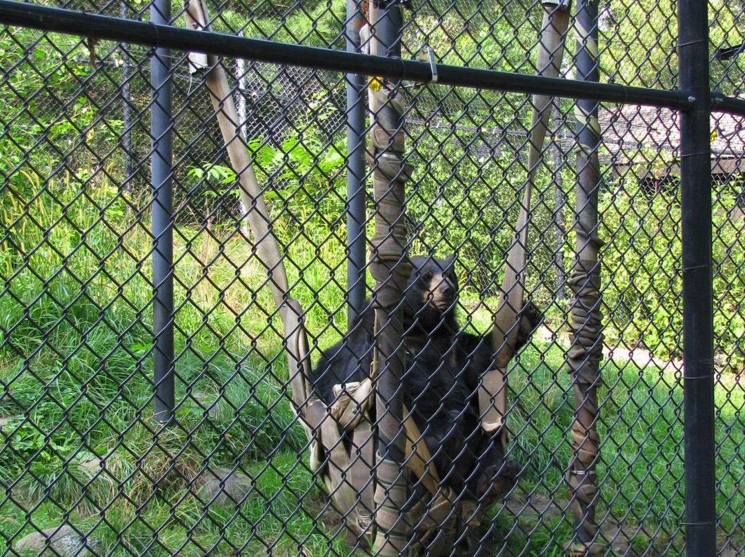 Ochsner Park Zoo景点图片
