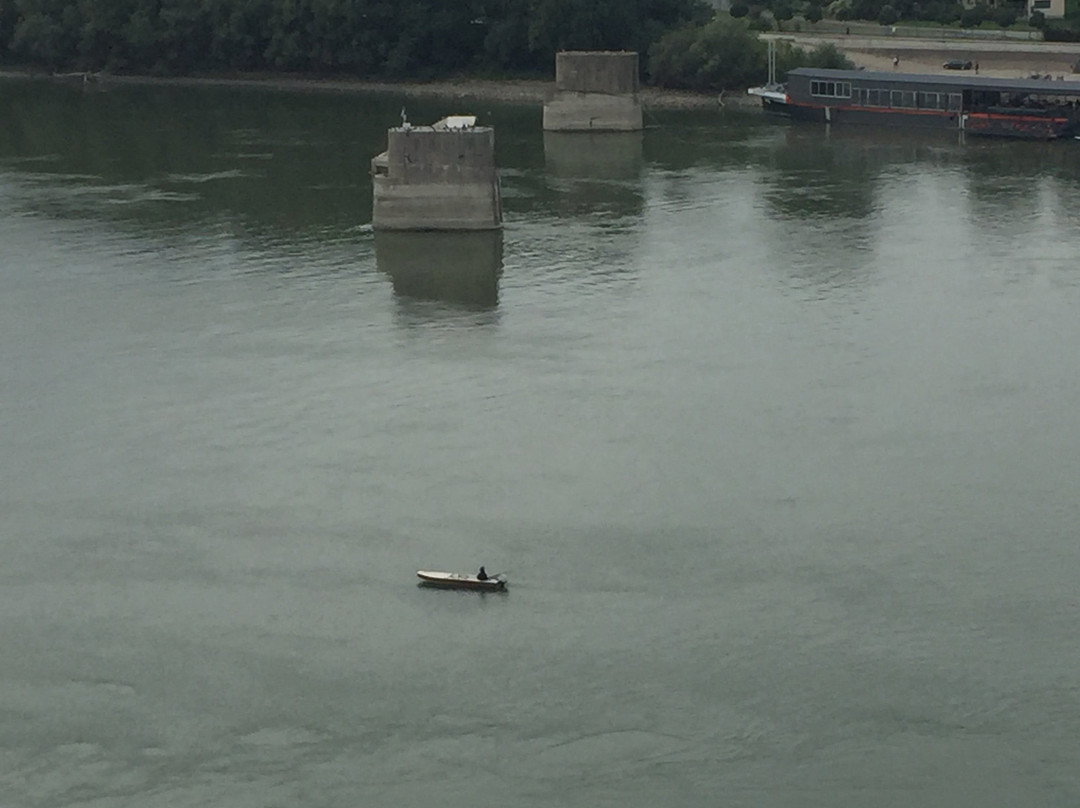 Dunav (The Danube)-诺维萨德必去景点