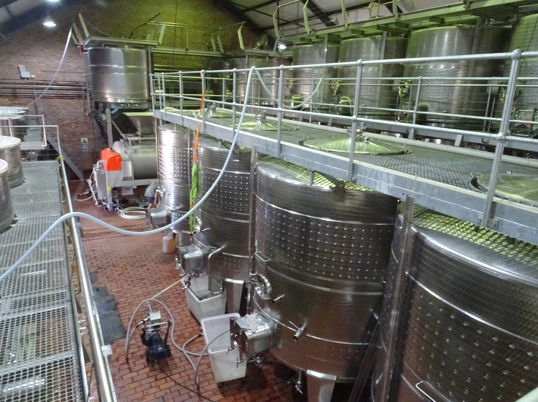 Saronsberg Cellar景点图片
