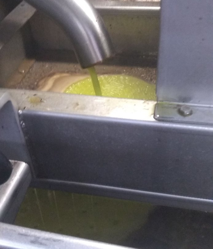 Frantoio Ancillotti-Cerreto Guidi必去景点