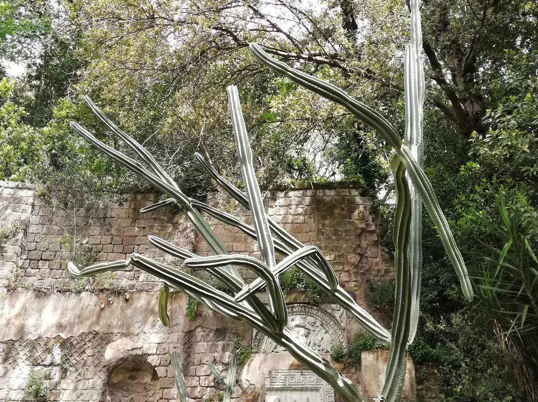 Giardino Inglese景点图片