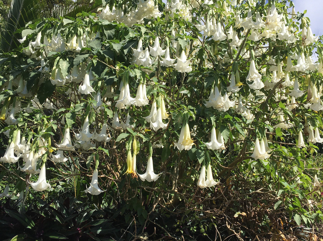 呼鲁马累岛-凯鲁瓦-柯纳必去景点