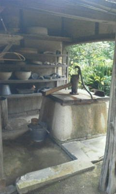 Residence of Minakata Kumagusu-田边市必去景点