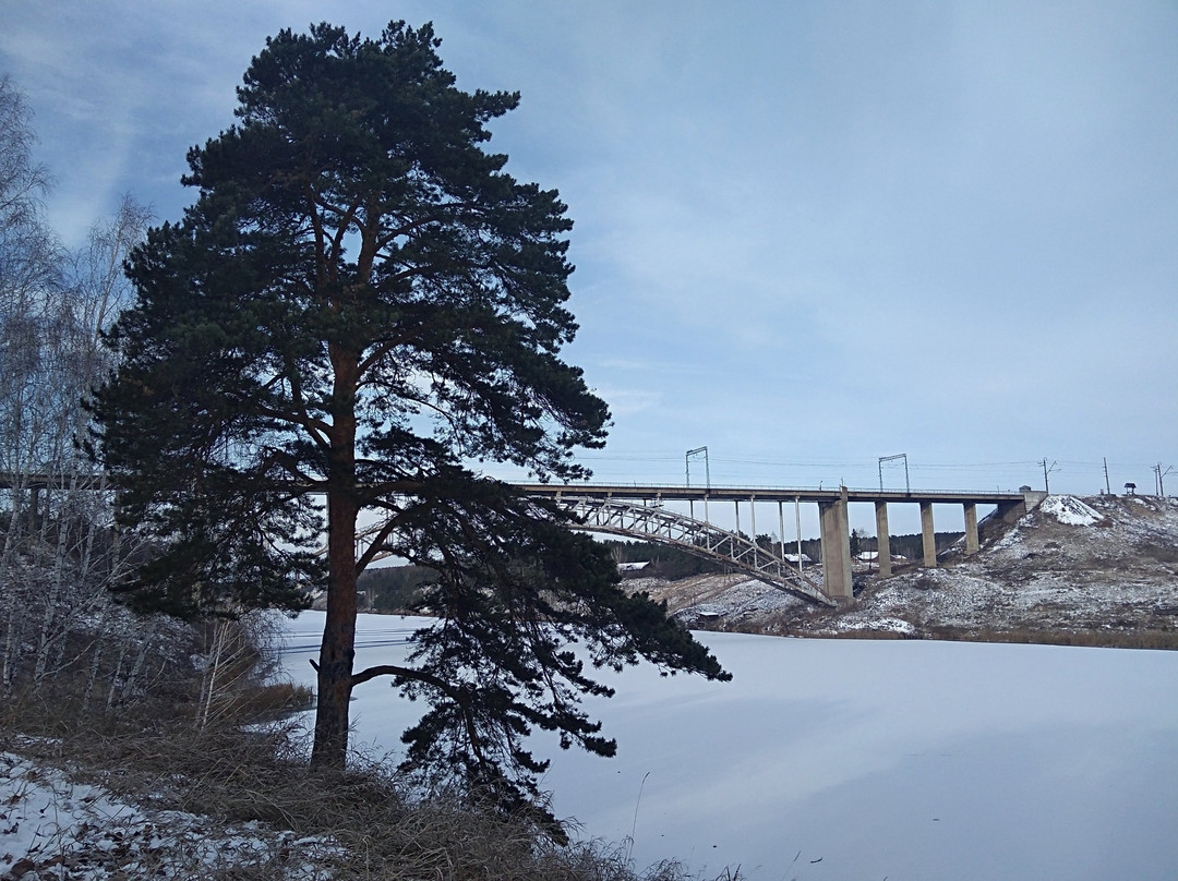 Arochny Railway Bridge景点图片