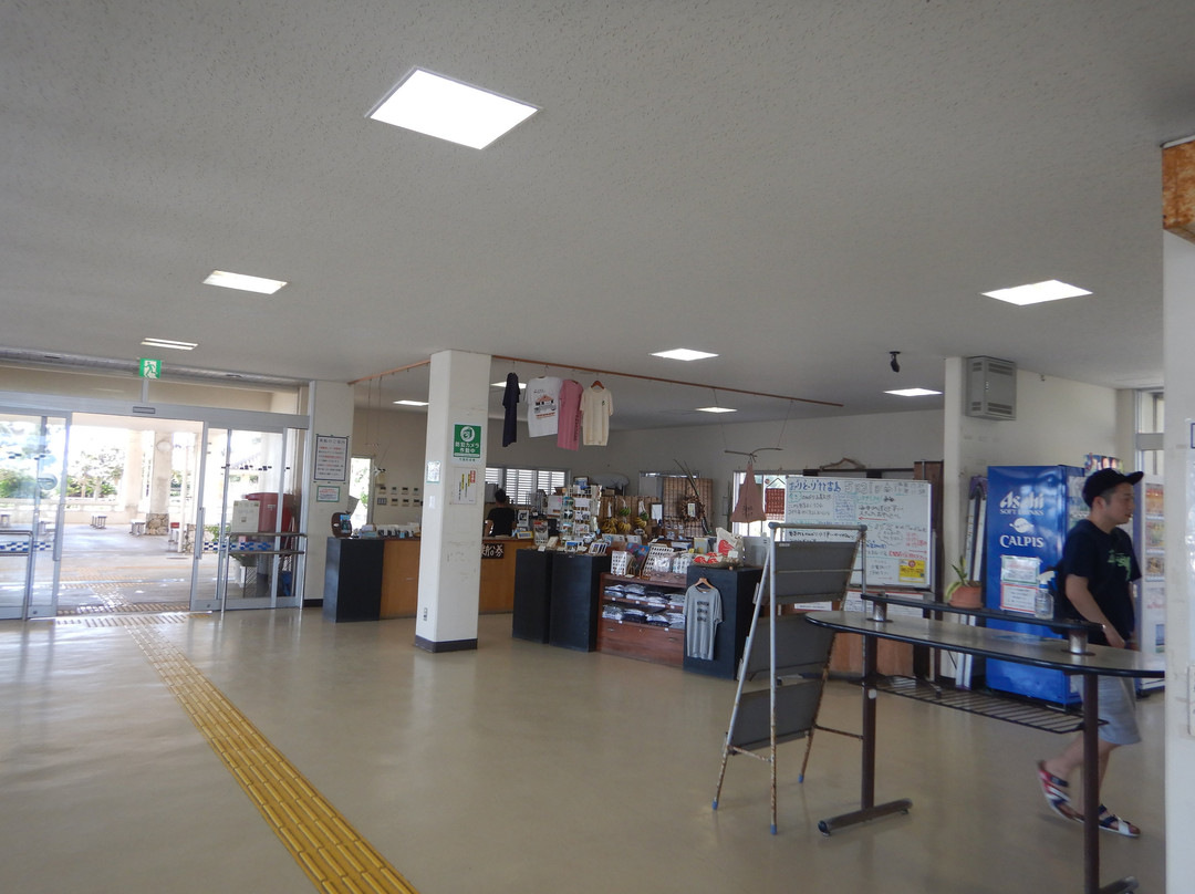 Taketomi Port景点图片