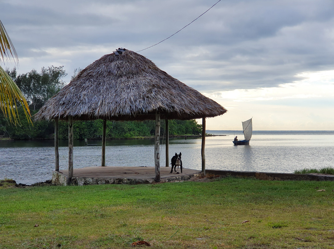 La Casa del Buzo主图