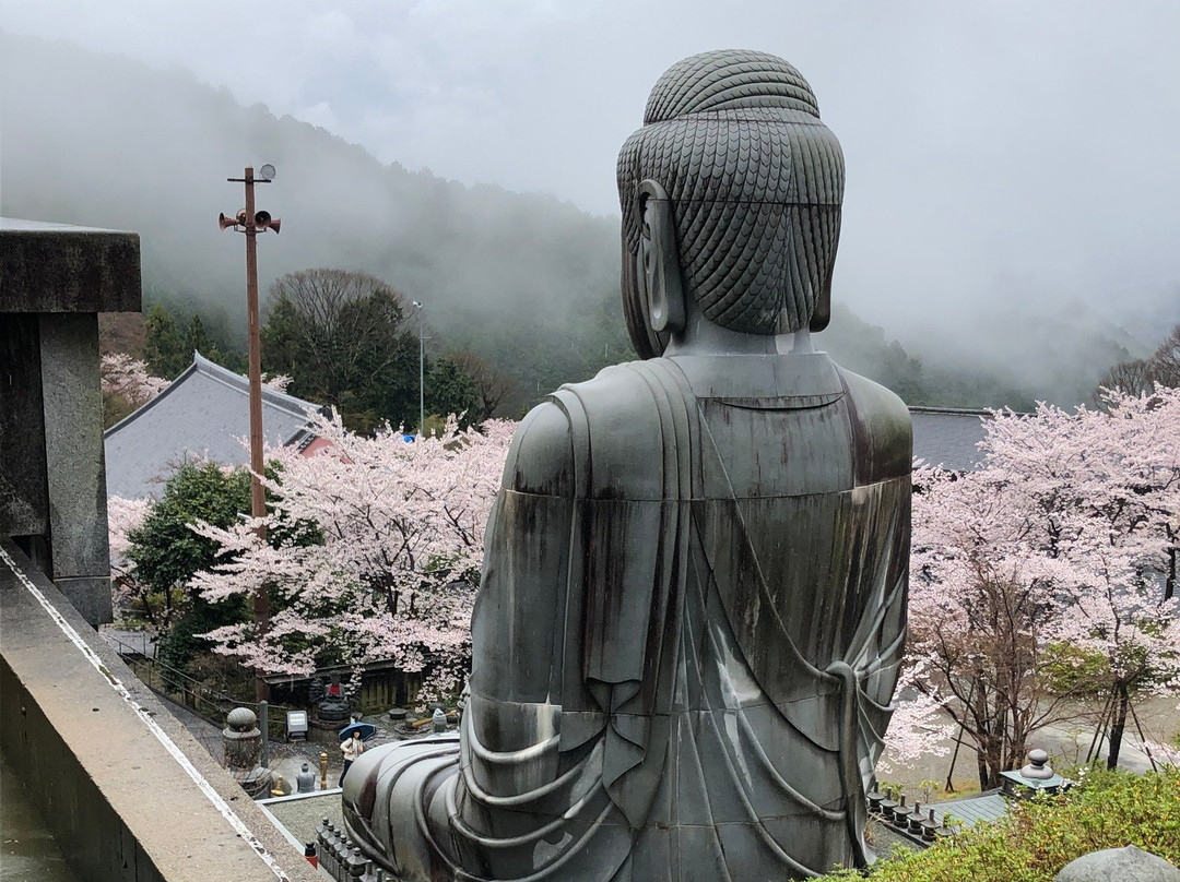 Tsubosaka Temple Dainehan Sekizo景点图片