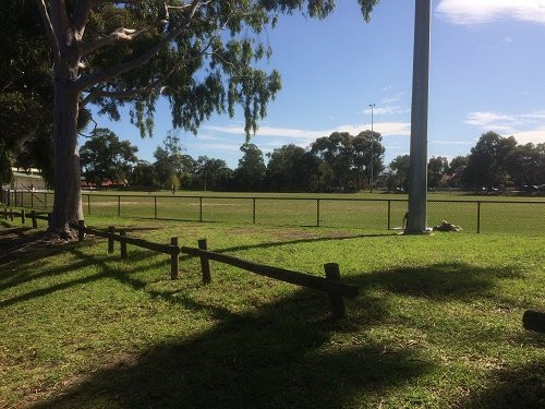 Castlefield Reserve Playground景点图片