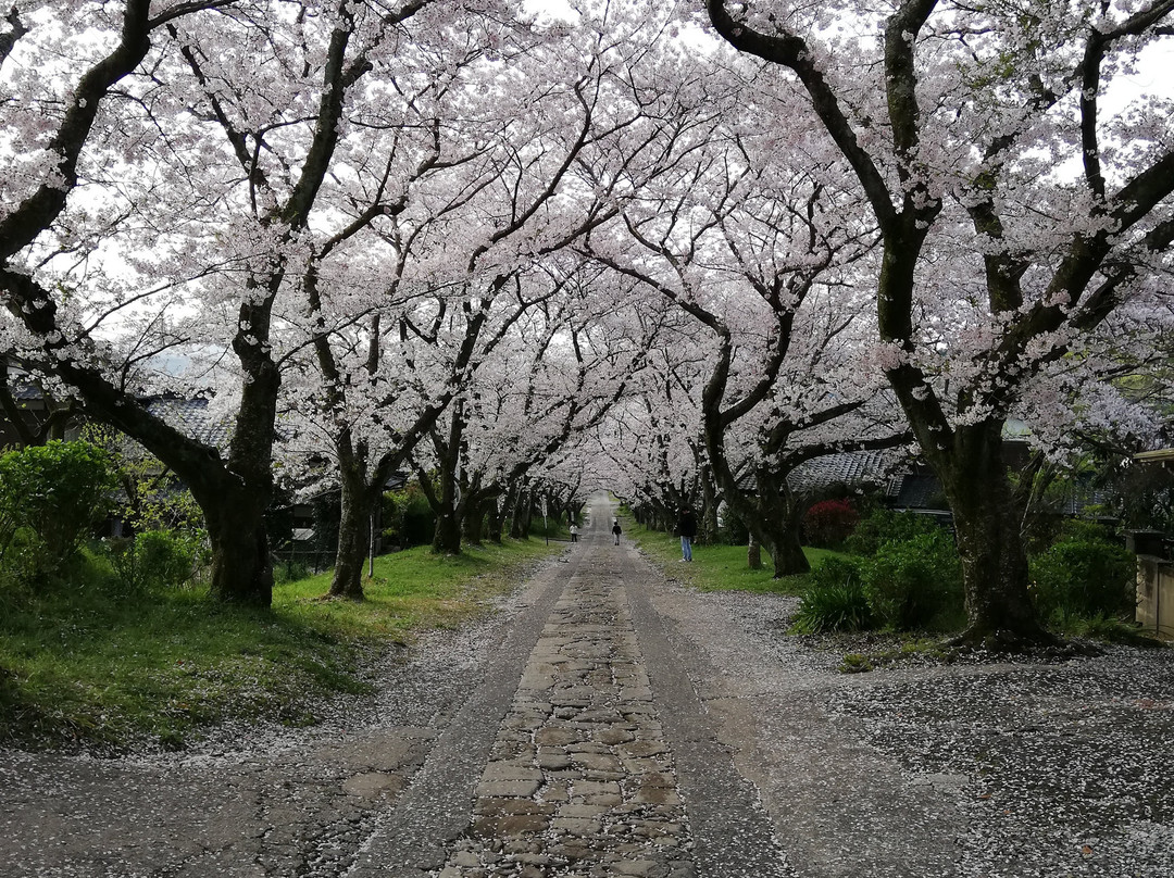 Enjoji Temple-武雄市必去景点
