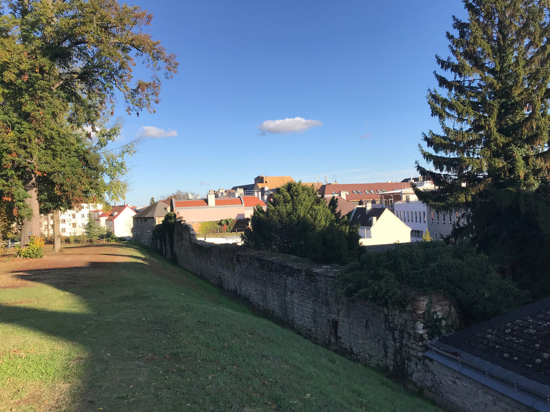 Schlosspark Eisenstadt景点图片