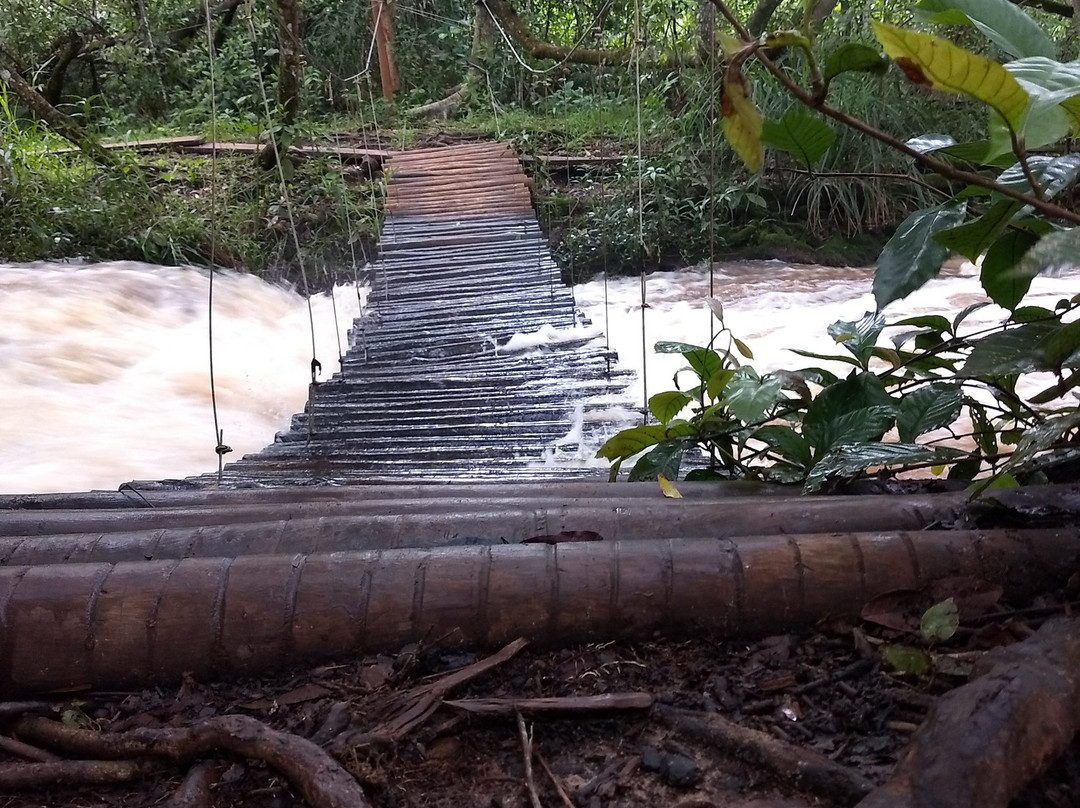 Ouroeste旅游攻略图片