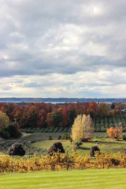 Chateau Chantal Winery and Inn主图