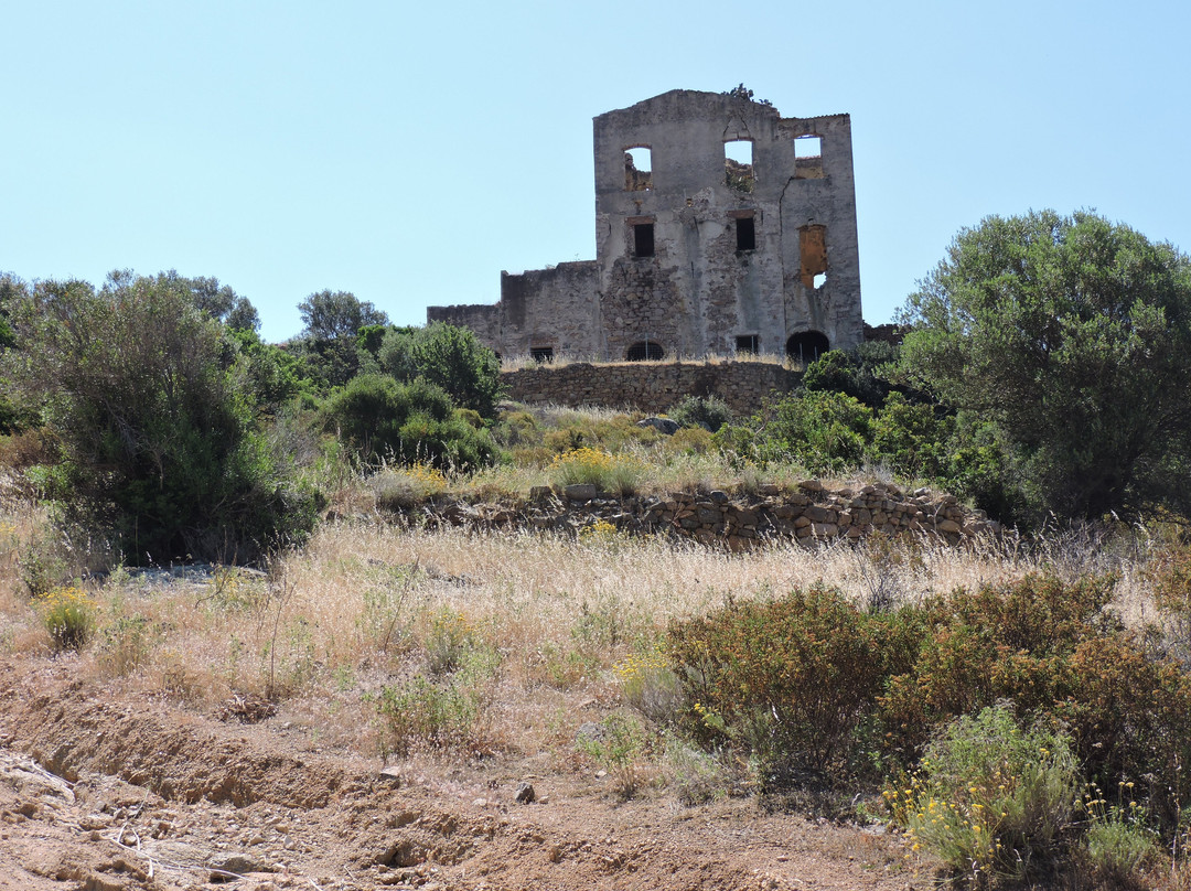 Le Château du Prince Pierre Bonaparte景点图片