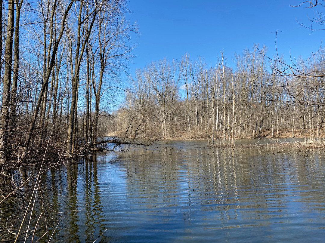 Maybury State Park景点图片