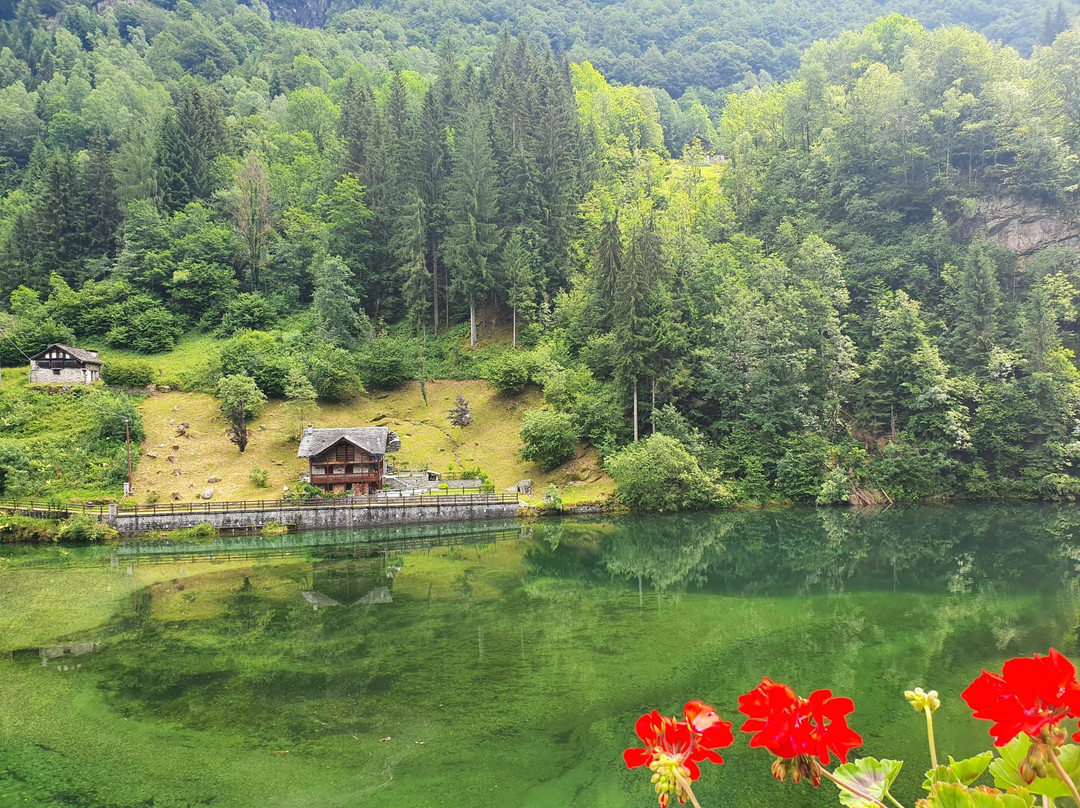 Lago di Rimasco景点图片