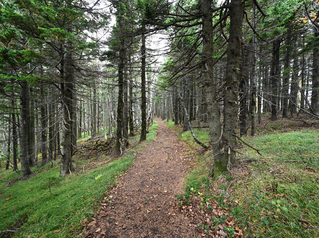 Mt. Pon-利尻富士町必去景点