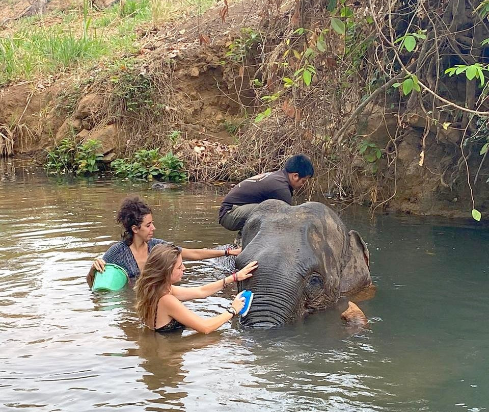 Banlung Balcony Guesthouse & Restaurant主图