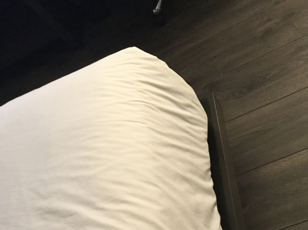 圣何塞库比蒂诺雅乐轩酒店主图