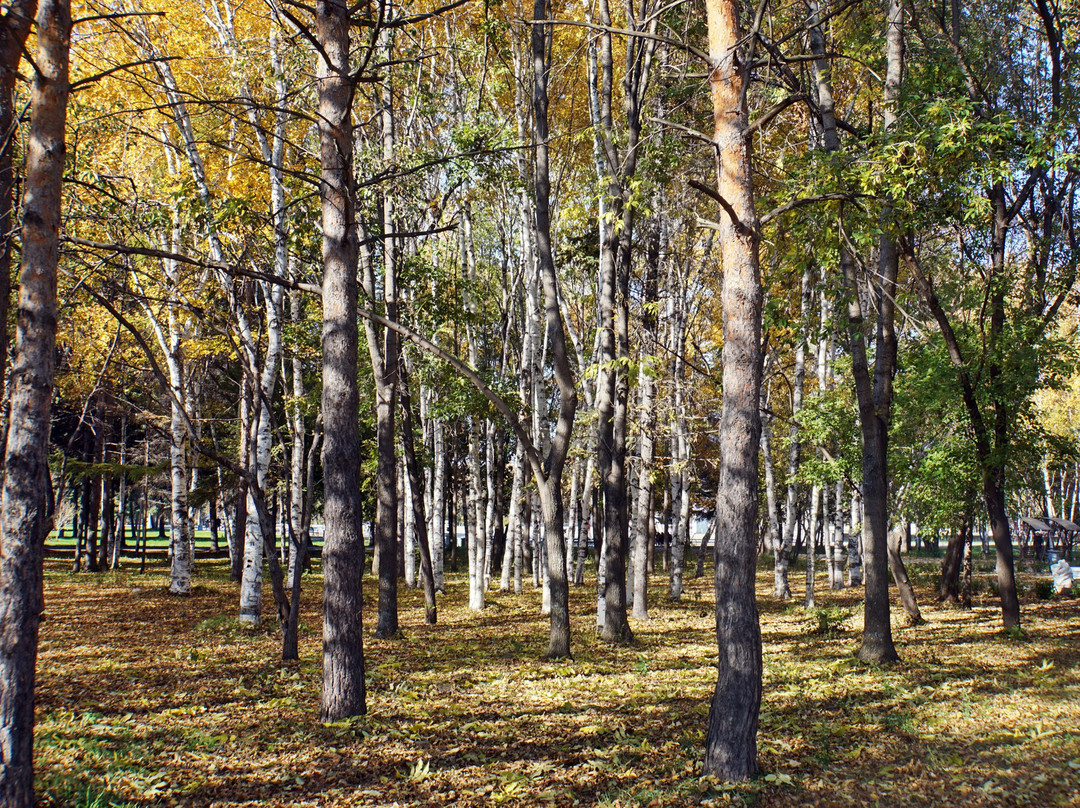 Amur Embankment-Komsomolsk-on-Amur必去景点