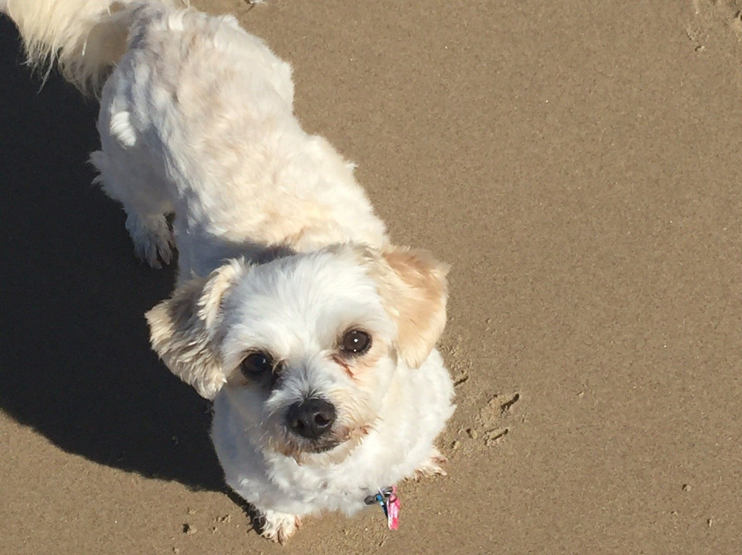 Stumers Creek-Coolum Beach必去景点