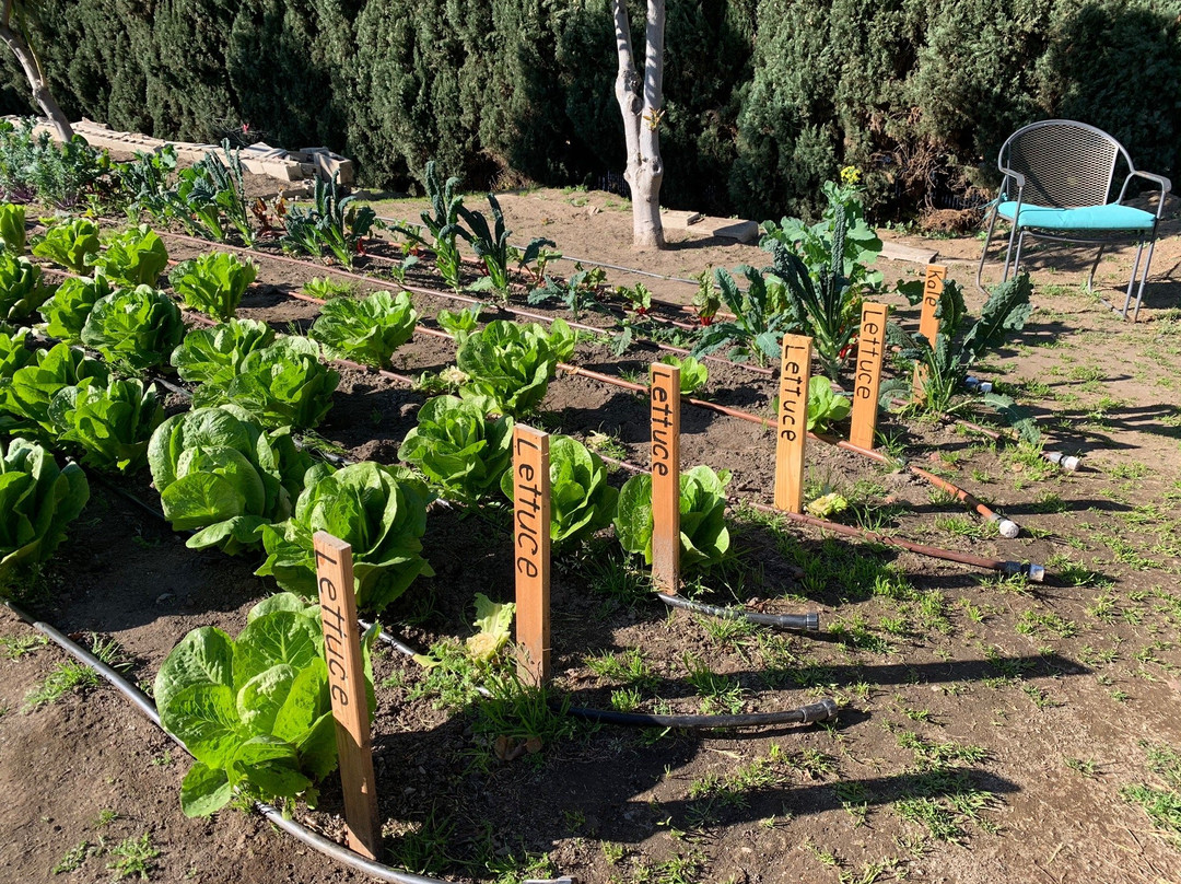 Optimum Health Institute of San Diego-Lemon Grove必去景点