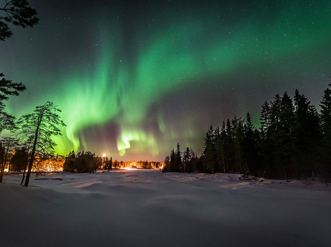 Oulu Safaris-奥卢必去景点