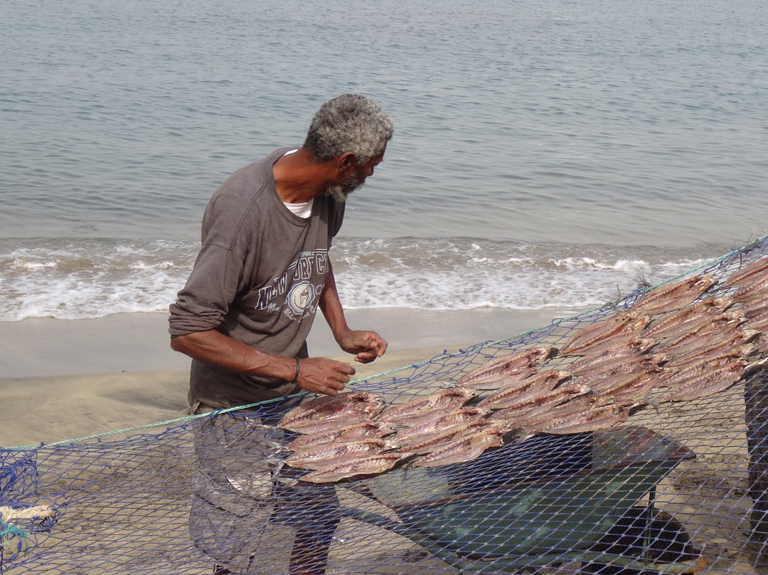 Mercado de Peixe-Sao Vicente必去景点