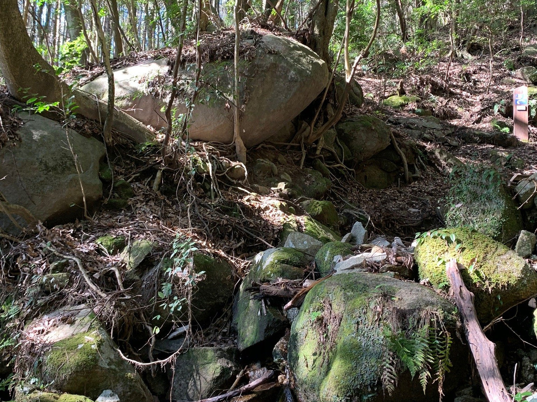 Kyoseki Park-佐贺市必去景点
