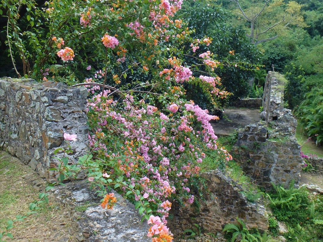 Estate Mount Washington-Frederiksted必去景点