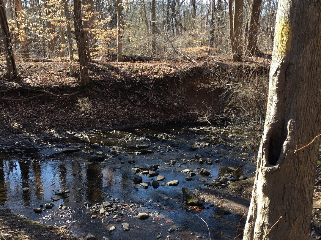 Tamaques Park-Westfield必去景点