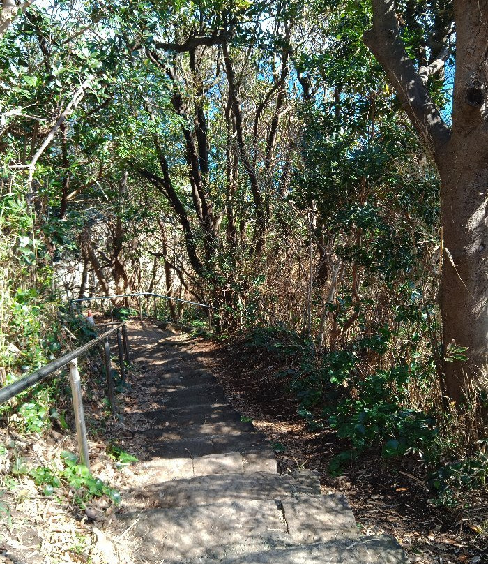 Awazaki Lighthouse-三浦市必去景点