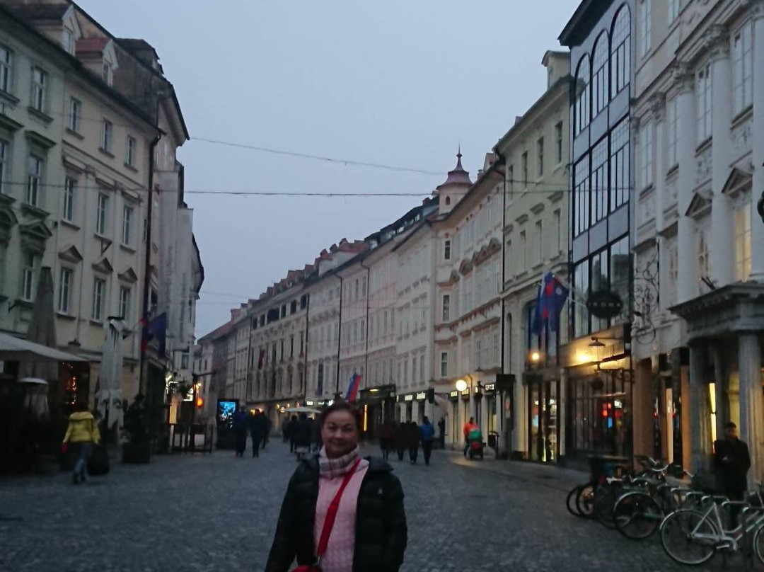 Old Square (Stari trg)-卢布尔雅那必去景点