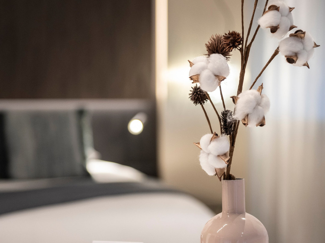 Hotel Pax主图