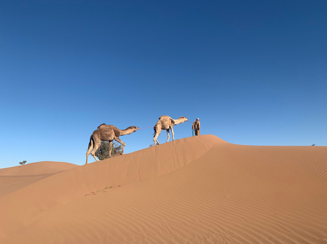 Caravane Rose du Sable-马拉喀什必去景点