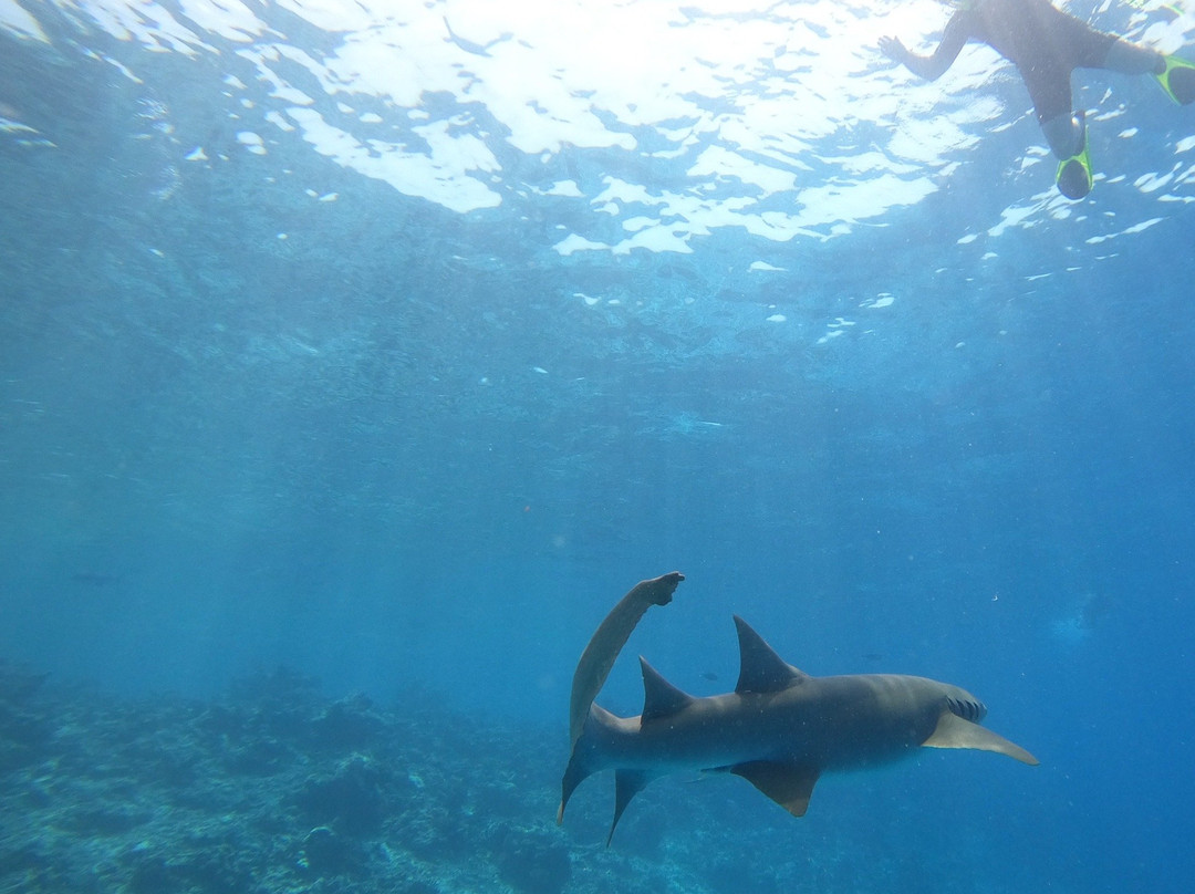 Moana Trips-马富士岛必去景点