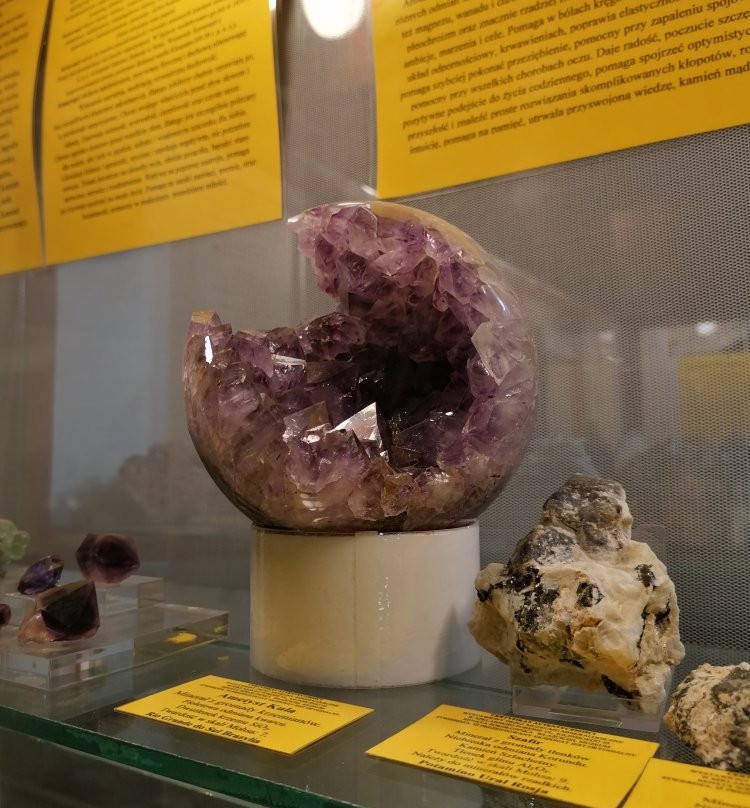 Mineralogical Museum景点图片