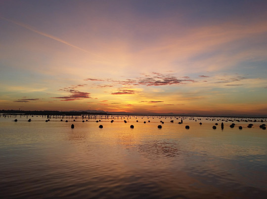 Ionian Sea Service-塔兰托必去景点