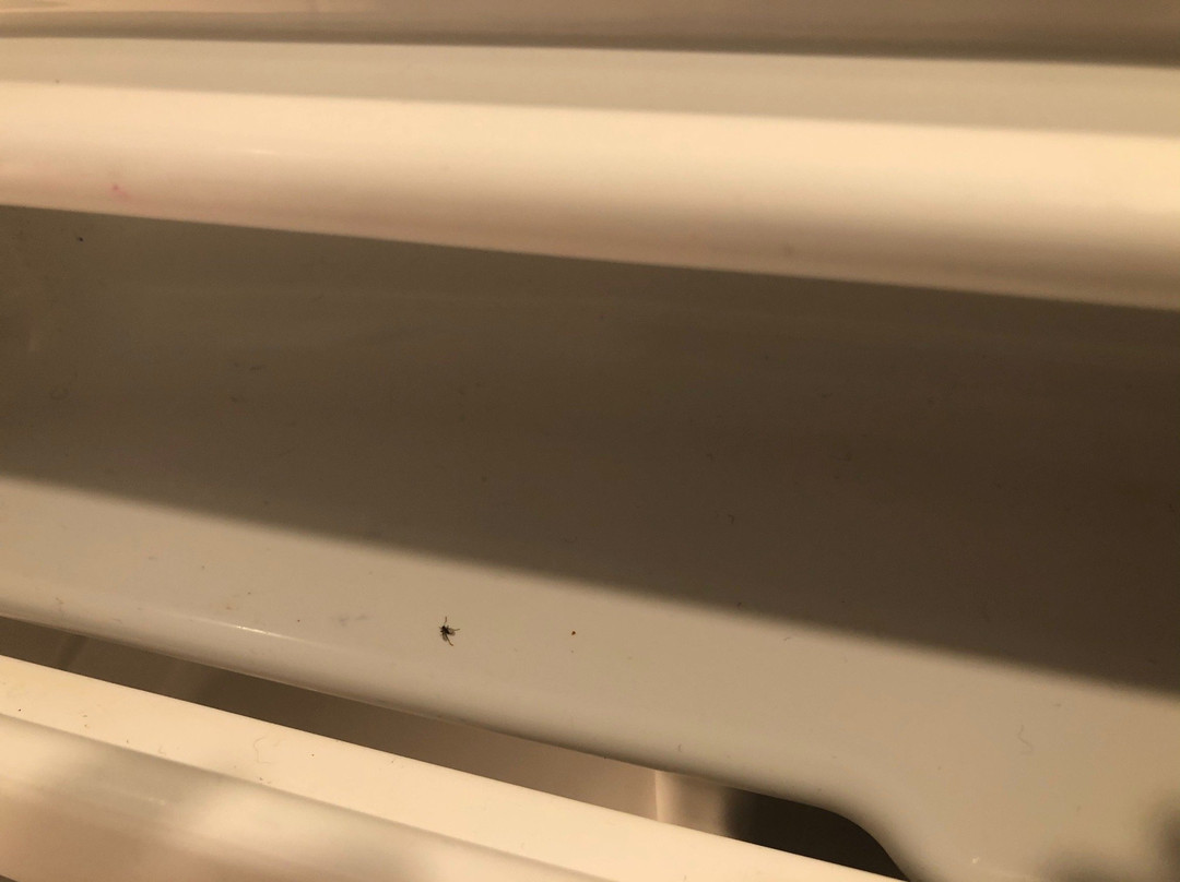 The Palms Hotel and Villas主图