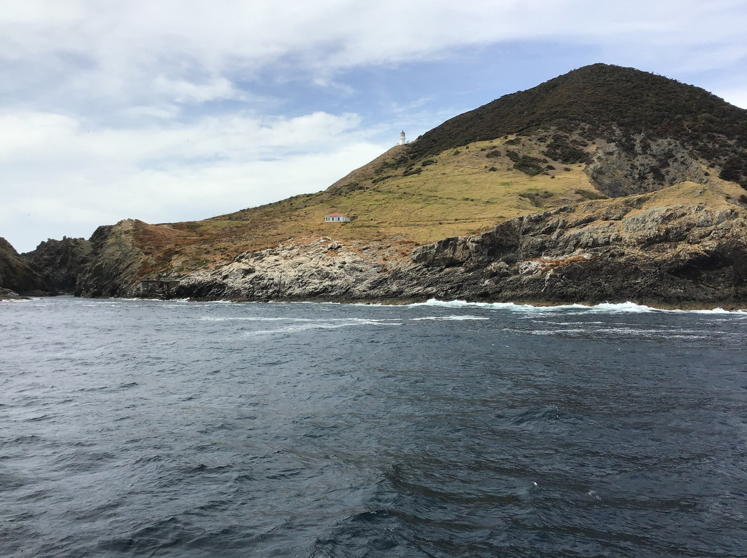 Poor Knights Island Marine Reserve景点图片