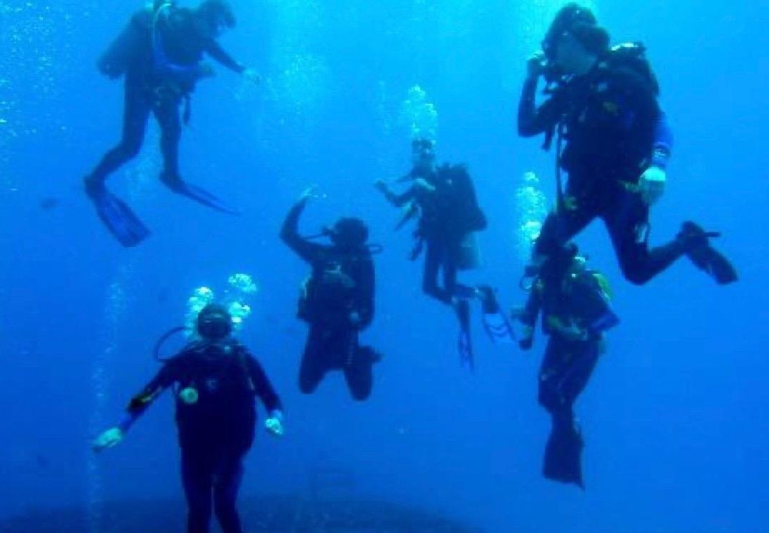 Dive’O-普吉岛必去景点