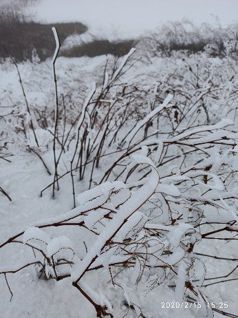 Nathang Valley-Aritar必去景点