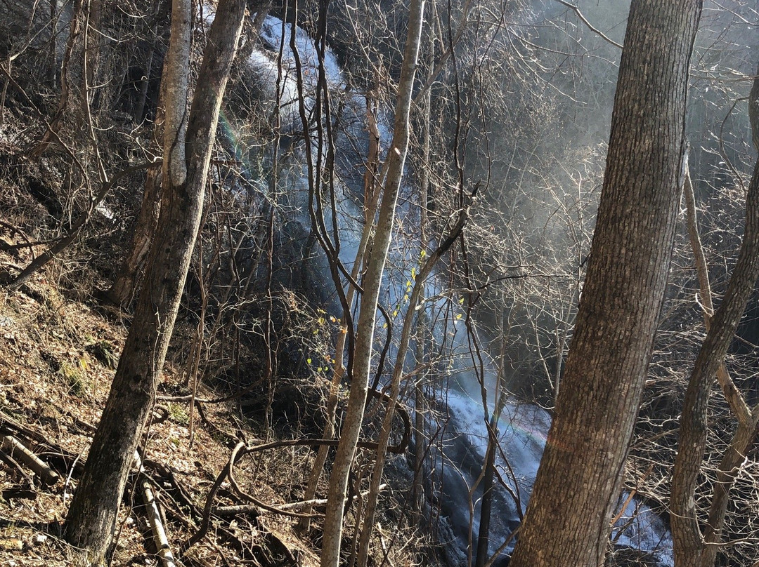 Amicalola fall-道森维尔必去景点