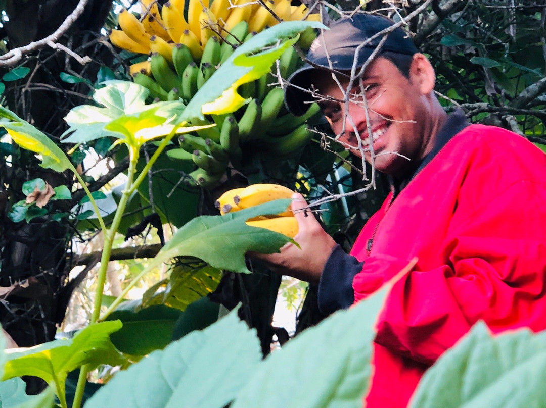 Casa Vivo in Soroa主图